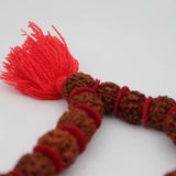 5 Mukhi Kanthi Rudraksha Beads Mala