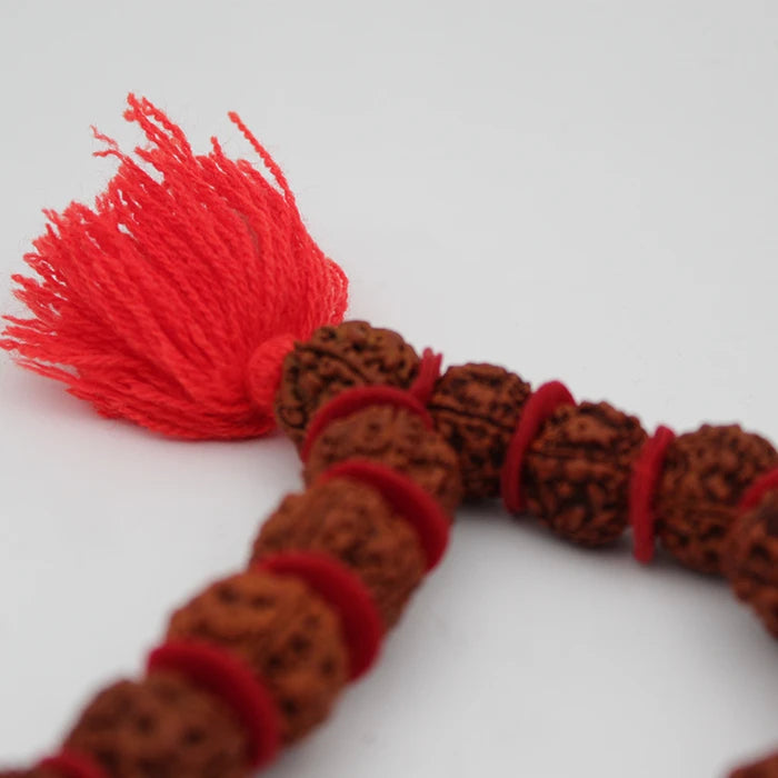 5 Mukhi Kanthi Rudraksha Beads Mala