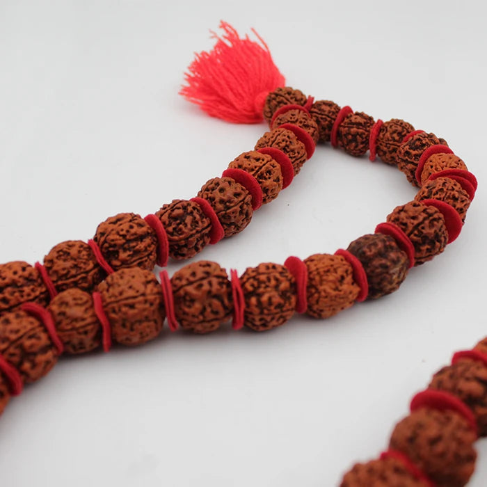 5 Mukhi Kanthi Rudraksha Beads 54+1 Mala 