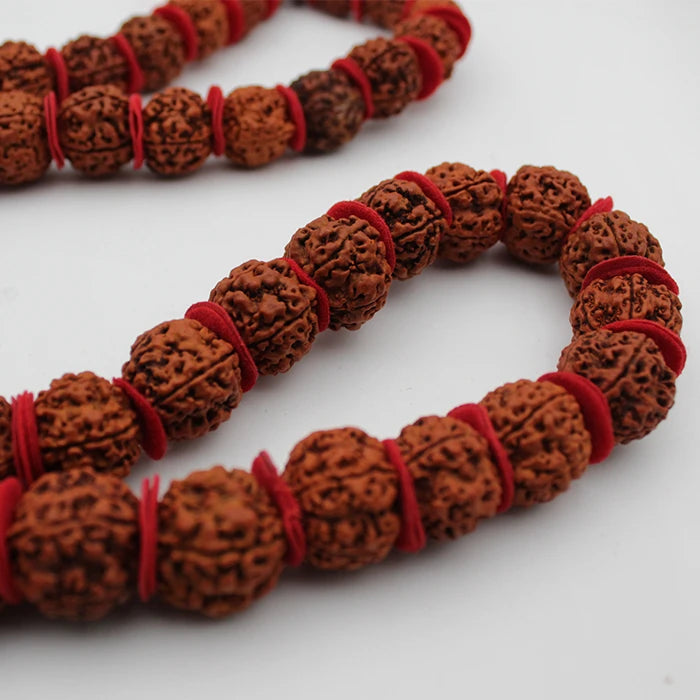 Original 5 Mukhi Kanthi Rudraksha Beads 54+1 Mala for Men Women