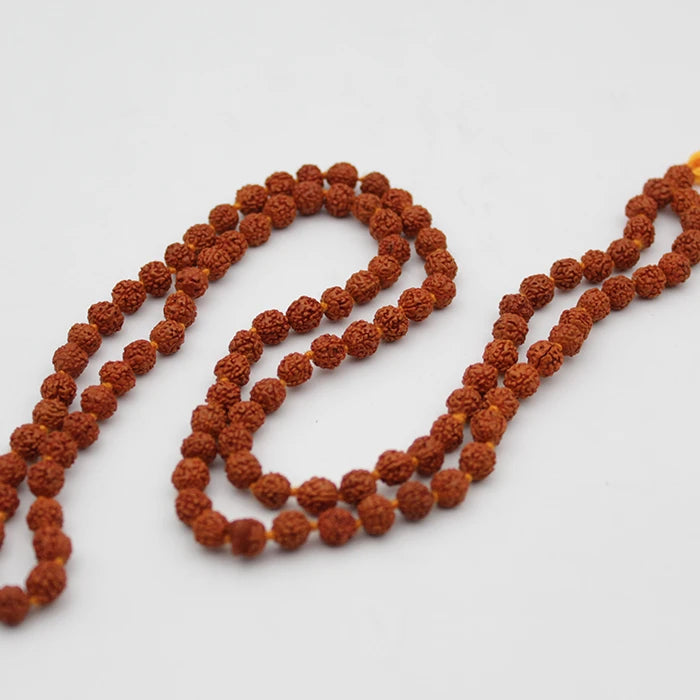 Medaglione In Argento 925 Con Rudraksha Naturale A 5 Facce - Ciondolo Energetico E Curativo Certificato