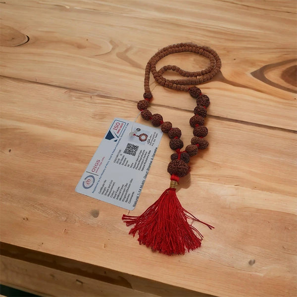 Original Certified 1-14 Face Mukhi Gaurishankar Rudraksha Nepali Kanthi Mala