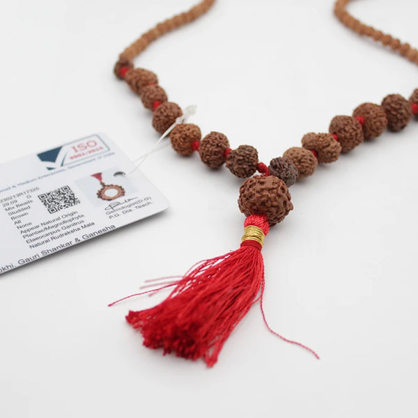 Original Certified 1-14 Face Mukhi Gaurishankar Rudraksha Nepali Kanthi Mala
