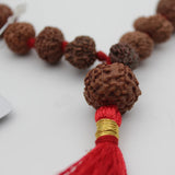 Original Certified 1-14 Face Mukhi Gaurishankar Rudraksha Nepali Kanthi Mala
