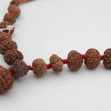 Original Certified 1-14 Face Mukhi Gaurishankar Rudraksha Nepali Kanthi Mala
