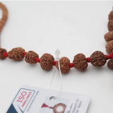 Original Certified 1-14 Face Mukhi Gaurishankar Rudraksha Nepali Kanthi Mala