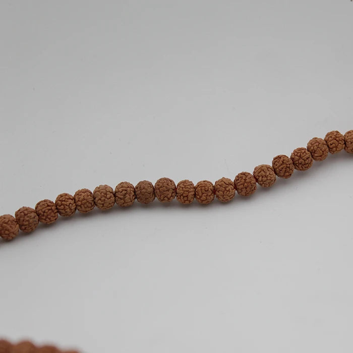 Original Certified 1-14 Face Mukhi Gaurishankar Rudraksha Nepali Kanthi Mala