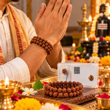 Pack Of 2 combo Original Multiline Stretchable 5 Mukhi Rudraksha Beads Handband,1 to 14 Mukhi Rudraksha Original Certified