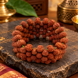 Brown Multiline Rudraksha Stretchable Bracelet