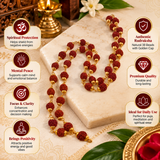 Rudraksha Mala With Golden Cap (38 Beads)