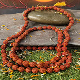 Certified Natural 6 Mukhi Rudraksha Pooja Mala