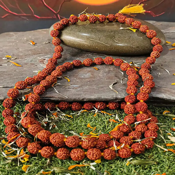 Certified Natural 6 Mukhi Rudraksha Pooja Mala